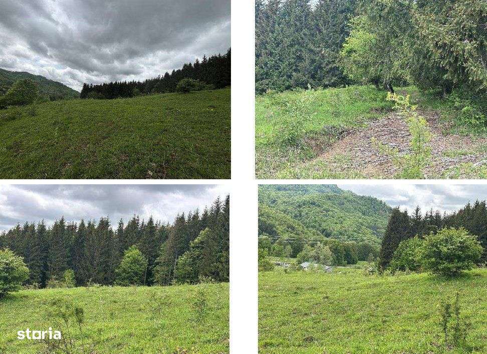 Teren intravilan- 10200 mp, Valea Doftanei - Imagine principală: 3/4