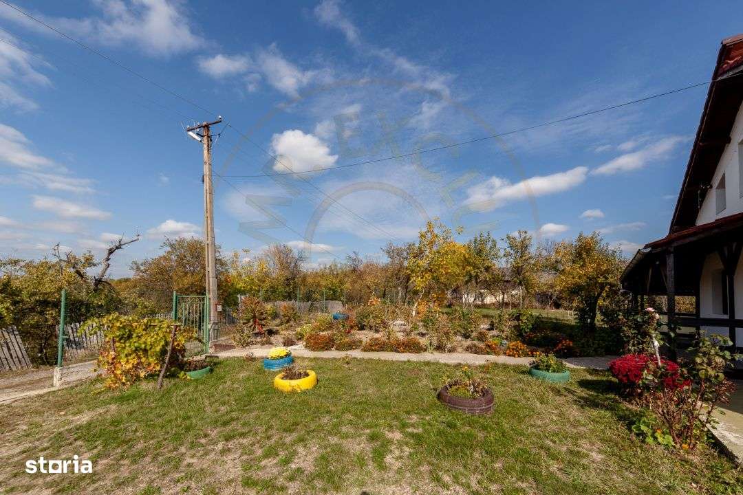 Casa P+M cu teren 2788 mp COCU -RACHITELE ARGES-13