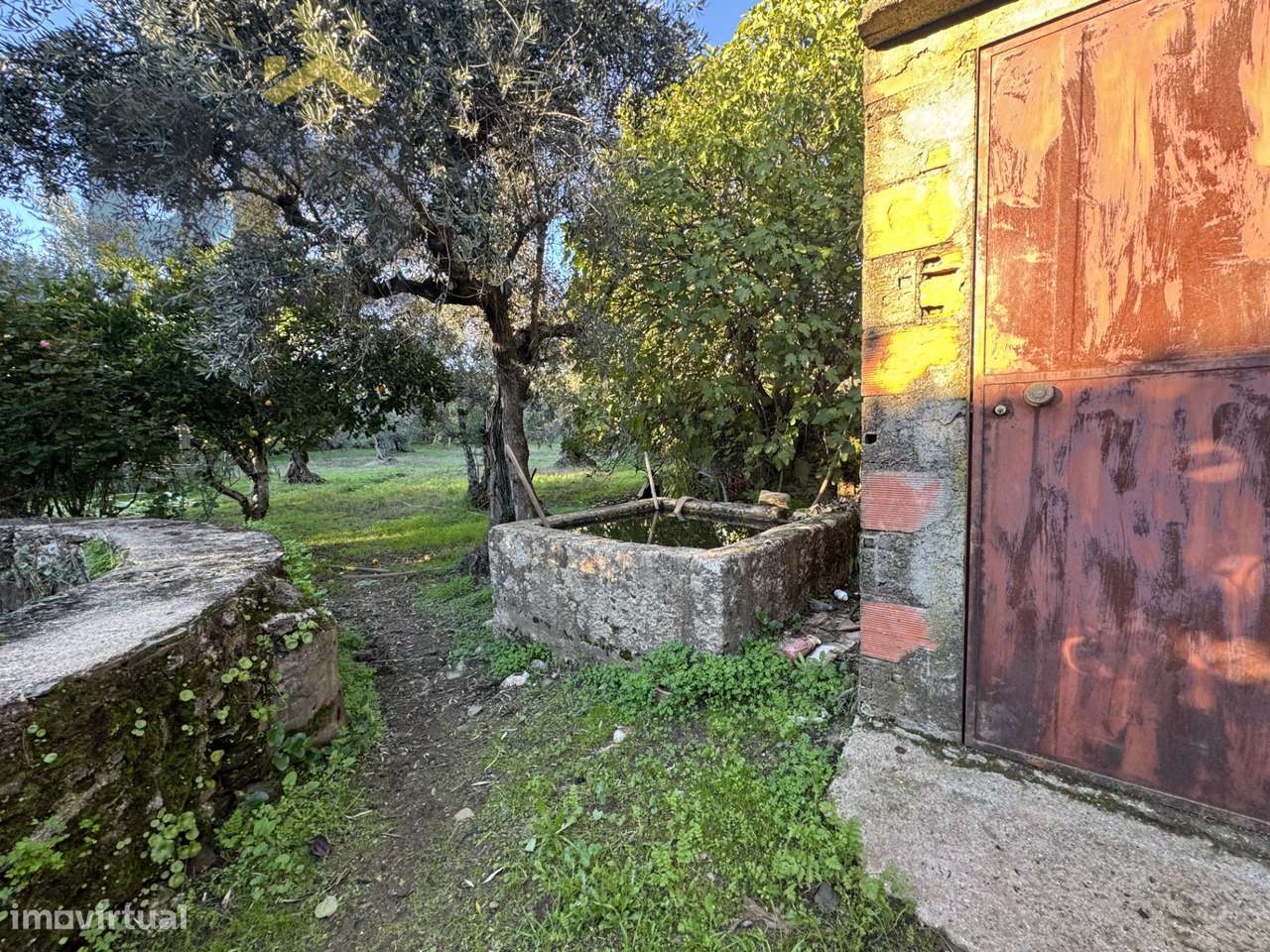 Quinta  Venda em Escalos de Baixo e Mata,Castelo Branco - Grande imagem: 4/31