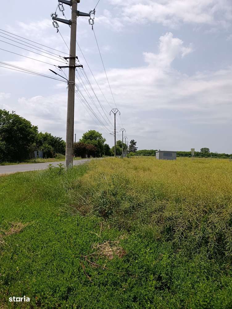 Teren 21.6ha, Ilfov-Nuci, P.U.Z. Hale, Investitie tip Greenfield. - Imagine principală: 4/10