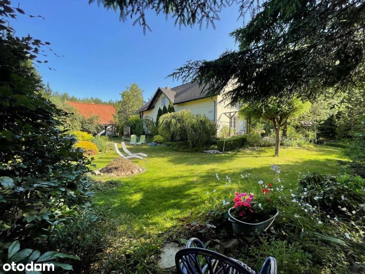 Dom z ogrodem i domkiem letnim, las, jezioro - Pełny obrazek: 4/19