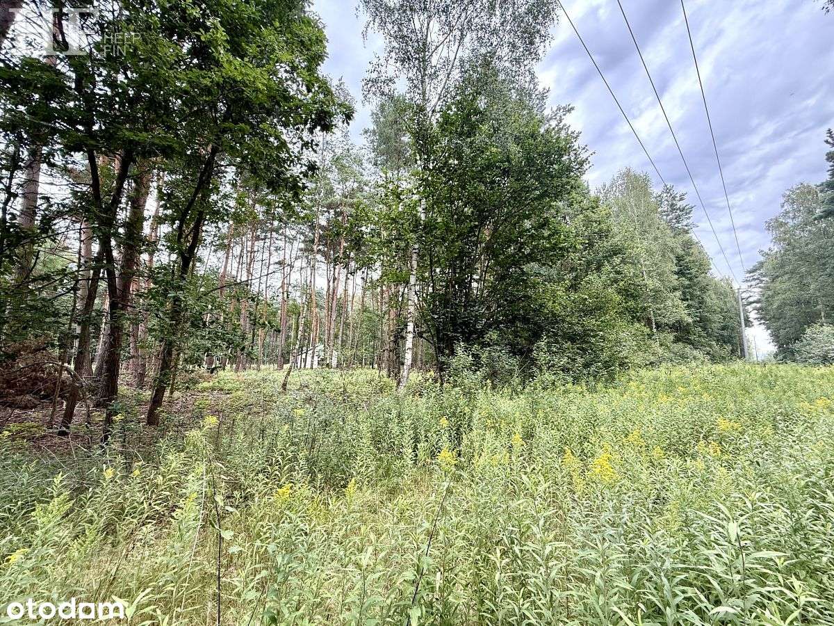 3 działki budowlane-  Warszawska,  las-8