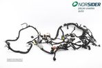 Instala elect comparti motor Citroen DS5|11-15 - 1