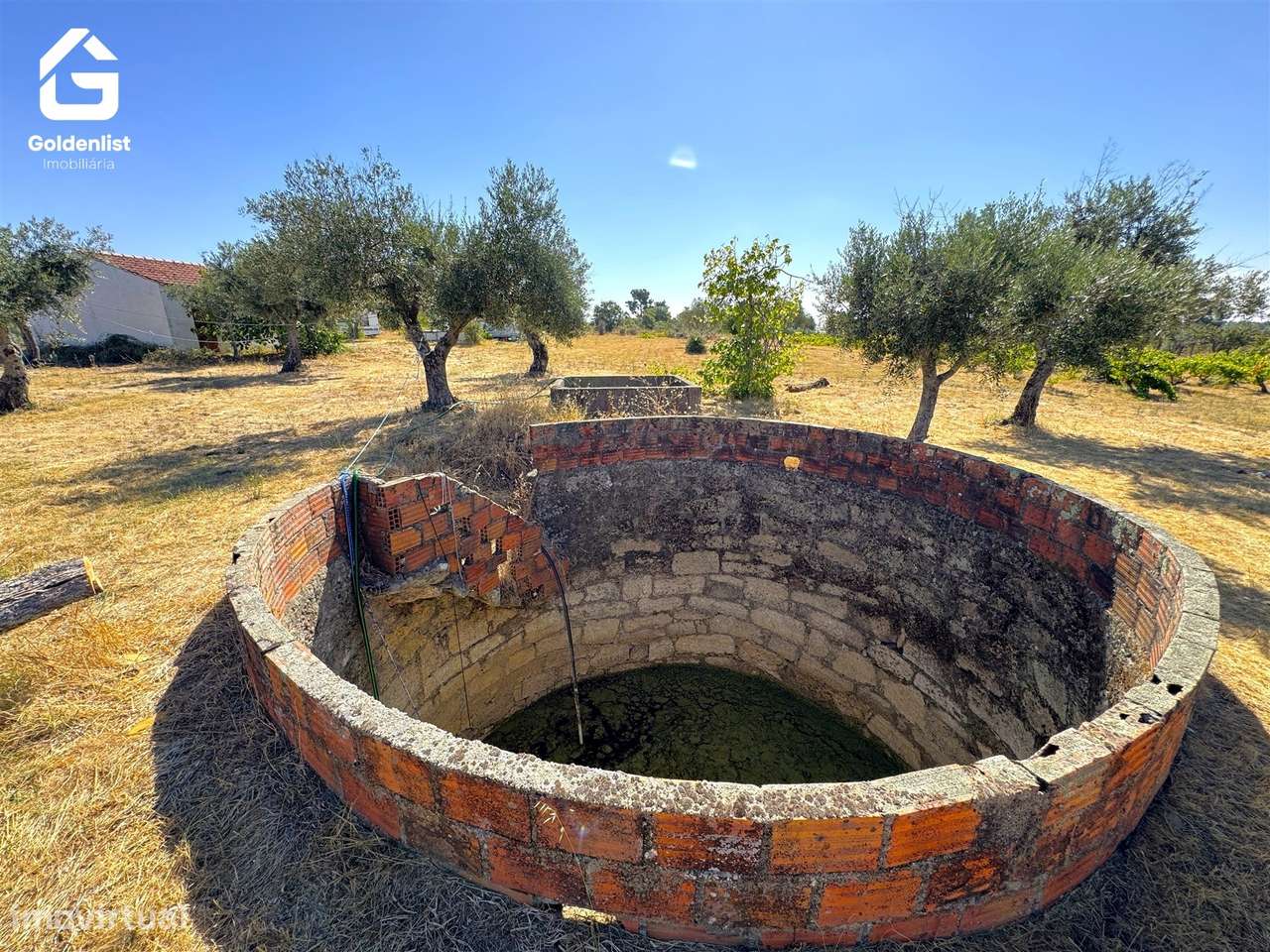 Quinta  Venda em Lardosa,Castelo Branco-26