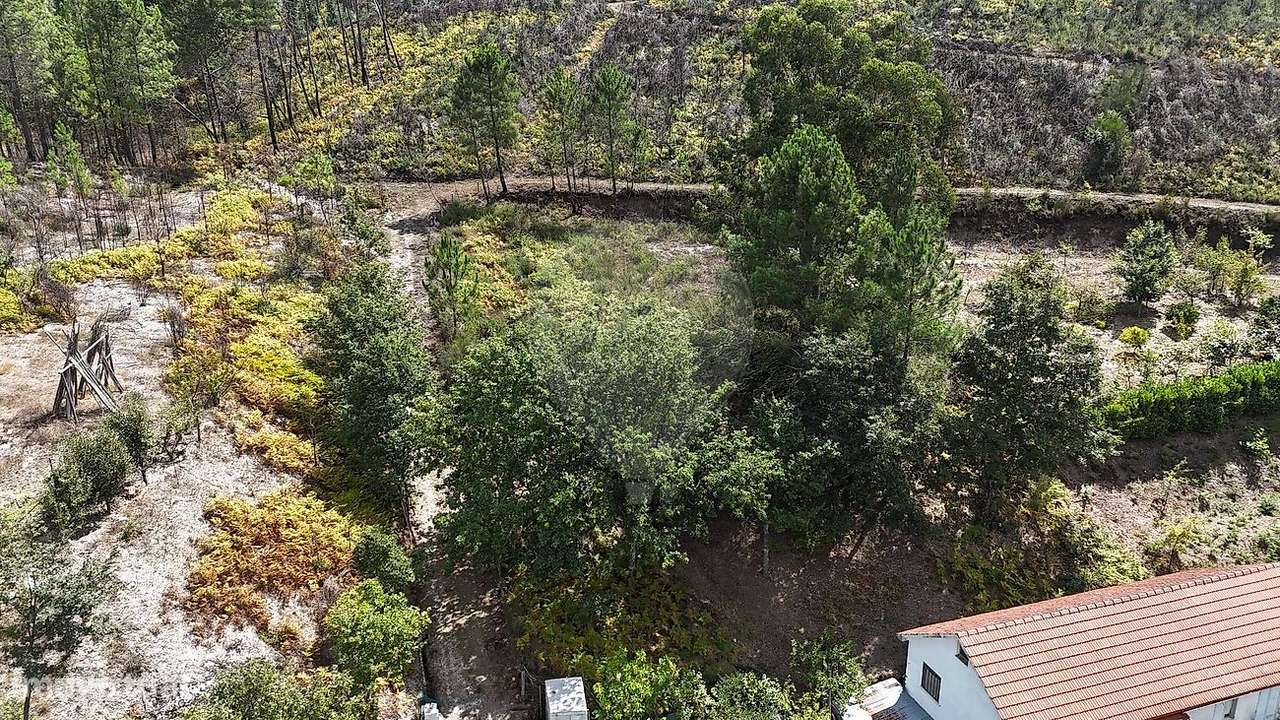 Terreno  para venda-9