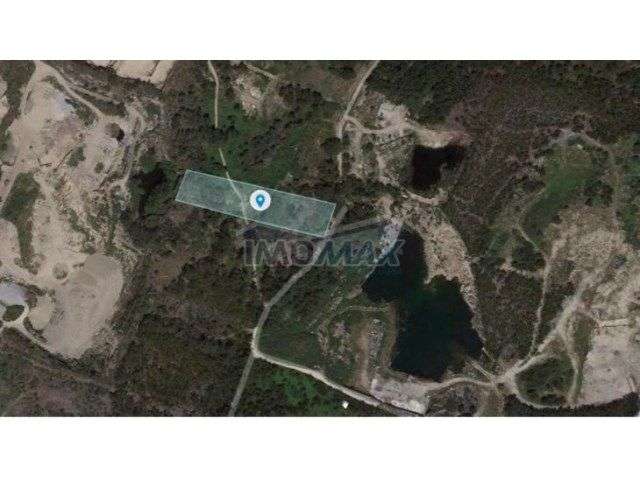 Sorte do Sobreiro – Peroselo, Penafiel - Grande imagem: 1/1