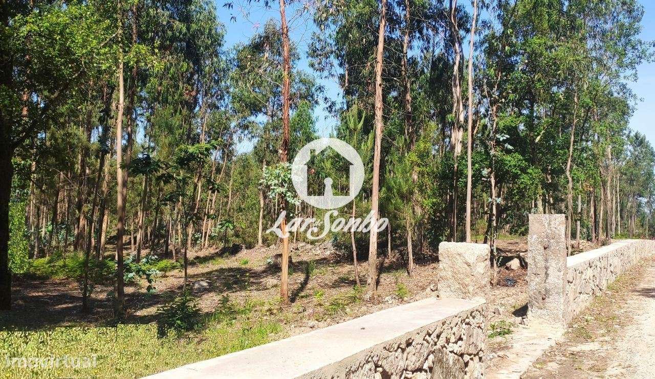 Terreno para construção em Barcelos - Grande imagem: 3/20