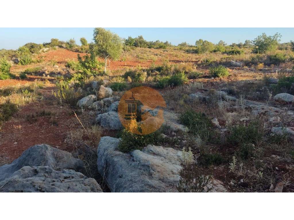 Terreno em Moncarapacho com 20240m2 - Grande imagem: 5/19