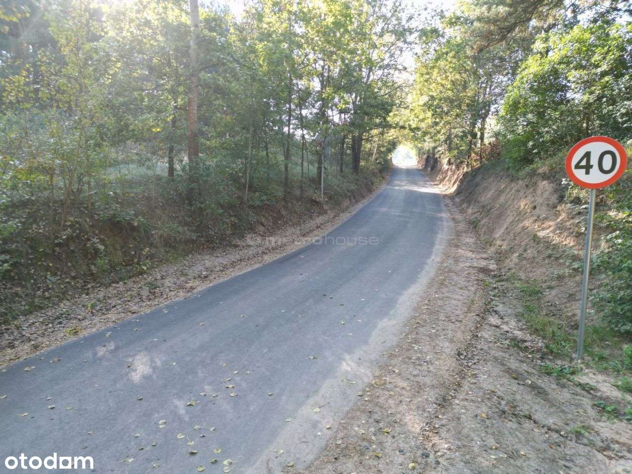 Piękna działka 1,32 ha w Nowej Wsi koło Ciechocina - Pełny obrazek: 4/12