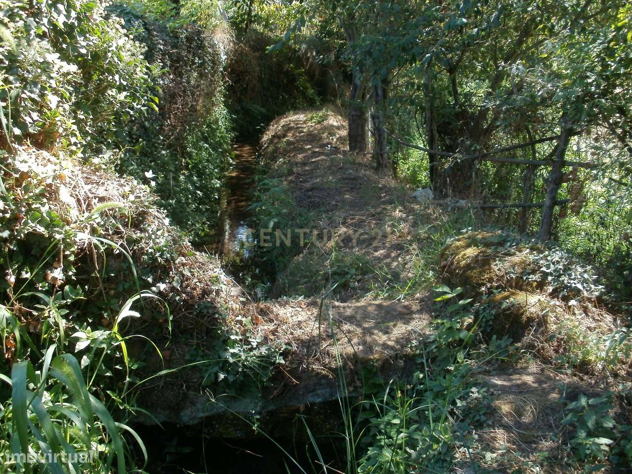 Terreno agricola em Tondela-5