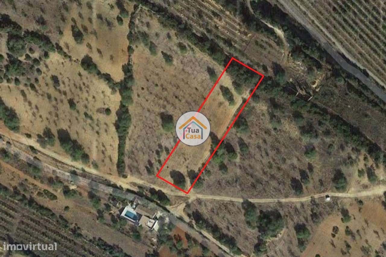 Terreno Rústico com Aproximadamente 3000 m2 Perto de Pechão - Grande imagem: 2/31