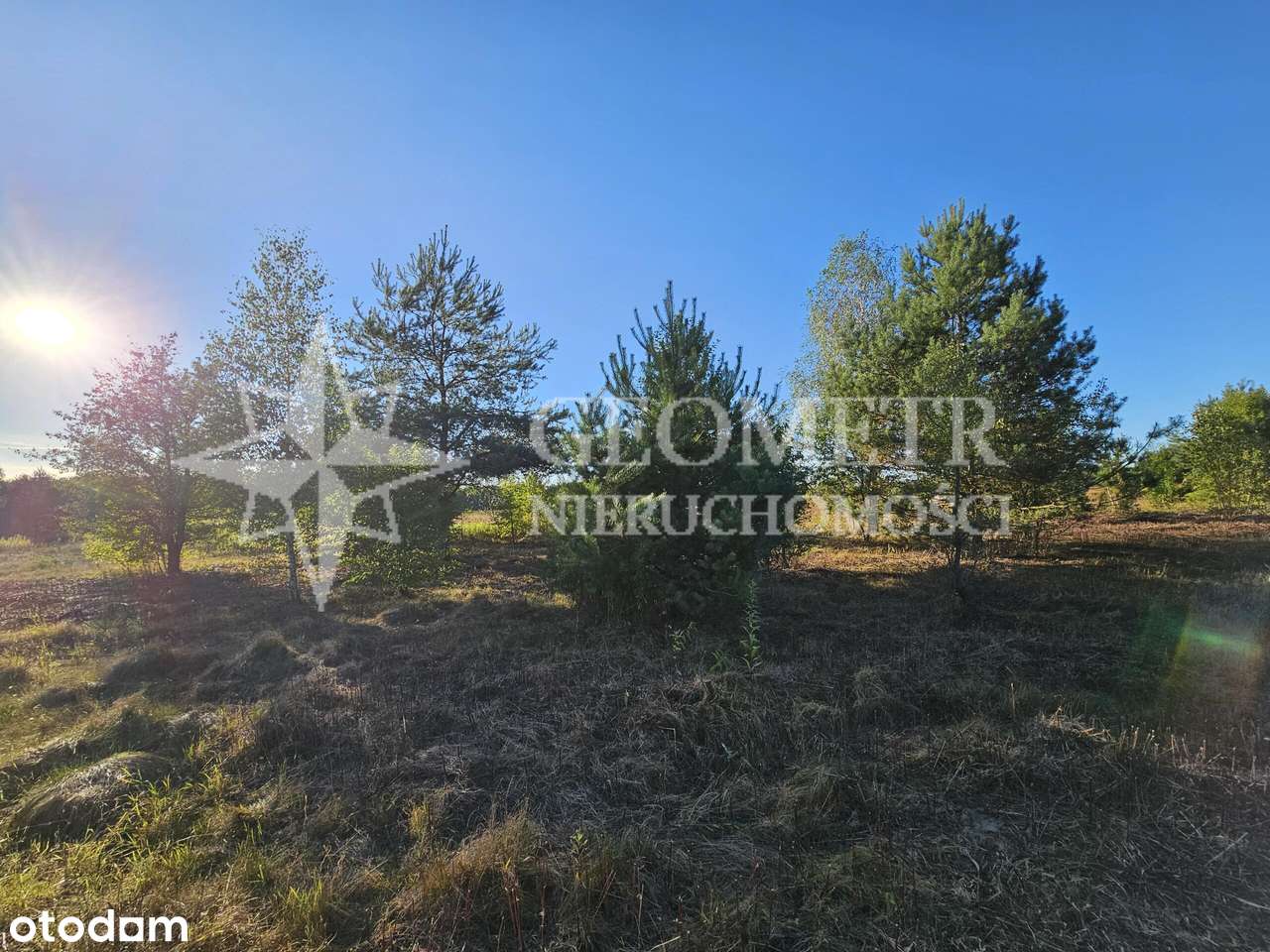 działka w otoczeniu zieleni, nowy teren - Pełny obrazek: 4/9