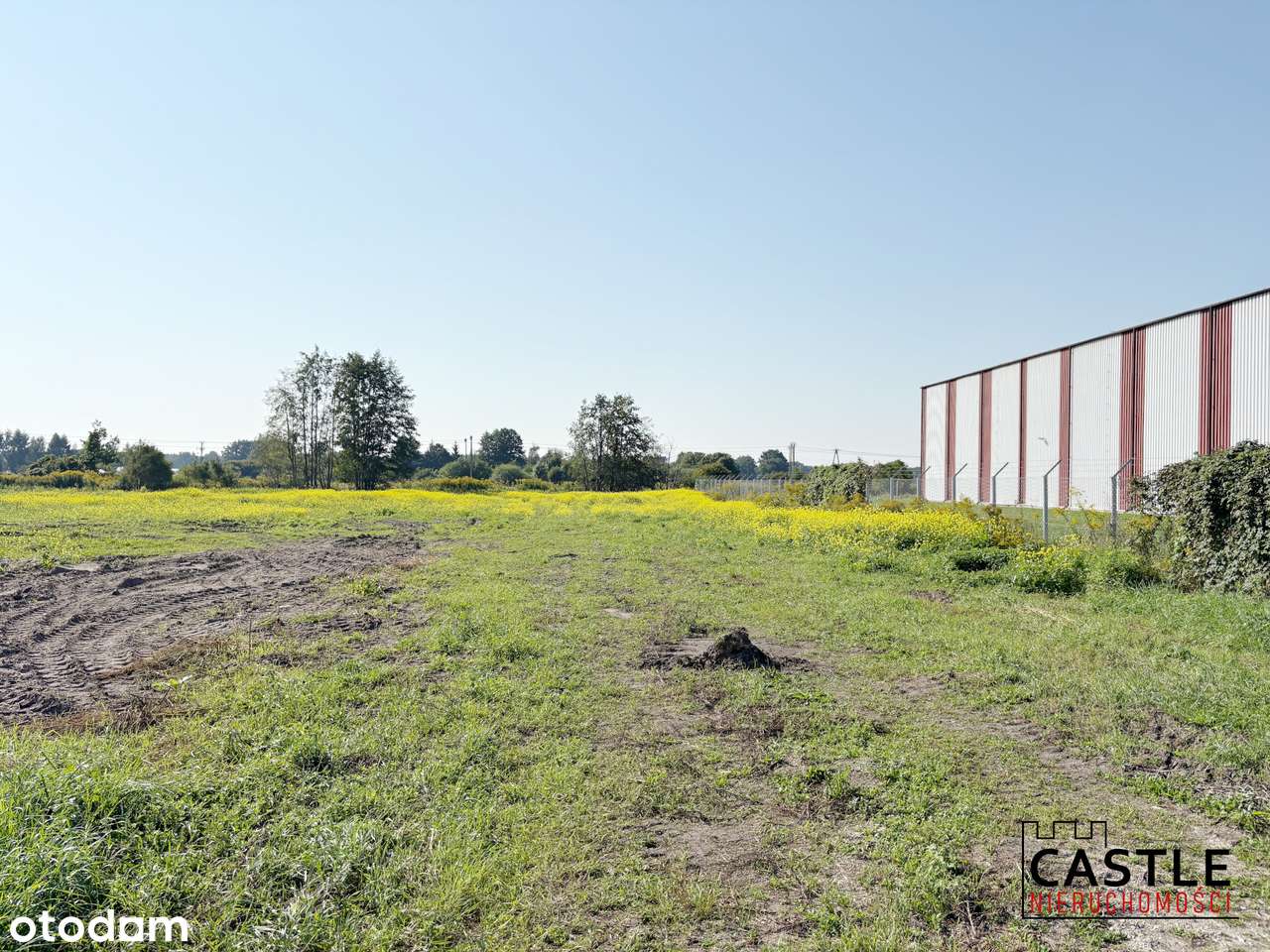 Duży teren inwestycyjny  pod halę lub centrum logistyczne-1