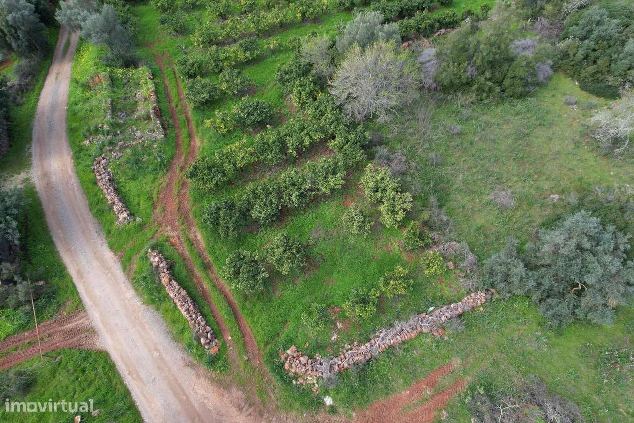 Silves – Messines – Carrascal | Ruína isolada com terreno | Construa a - Grande imagem: 5/19