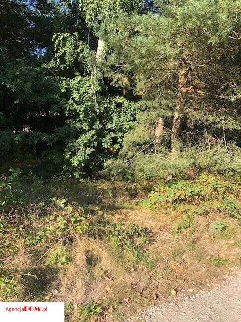 Władysławów(k.Siestrzeni),prąd,gaz,woda,budowlana,-13