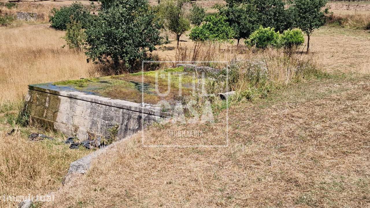 Quinta em Creixomil (Barcelos)-42