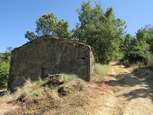 Quinta com ruina 1,4 ha no Ferro