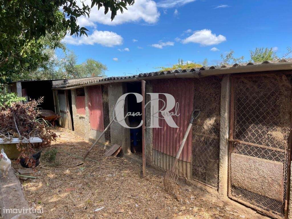 Moradia Térrea Isolada de 2 Quartos com Jardim, Anexos e Garagem, entr-29