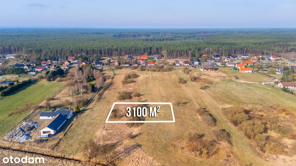 Duża działka 25 min od Szczecina w niskiej cenie. - Pełny obrazek: 2/9