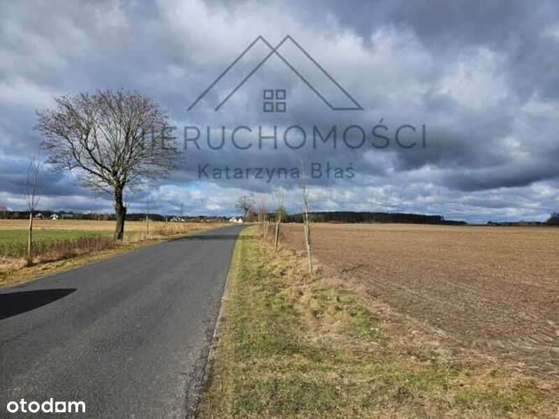 Działka budowlana w Białej-11