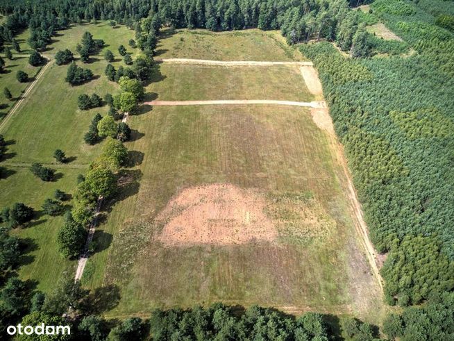 Dołgie, działka budowlana 830 m2, cicha okolica-8