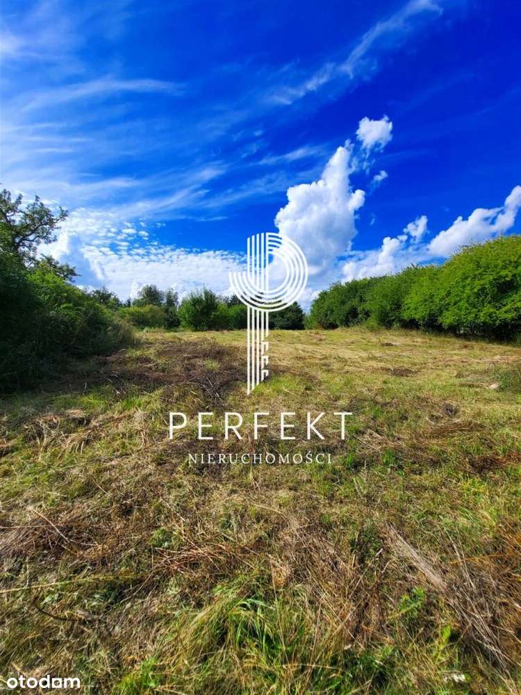 Piękna Działka przy jeziorze Narost 3700m2 - Pełny obrazek: 5/11