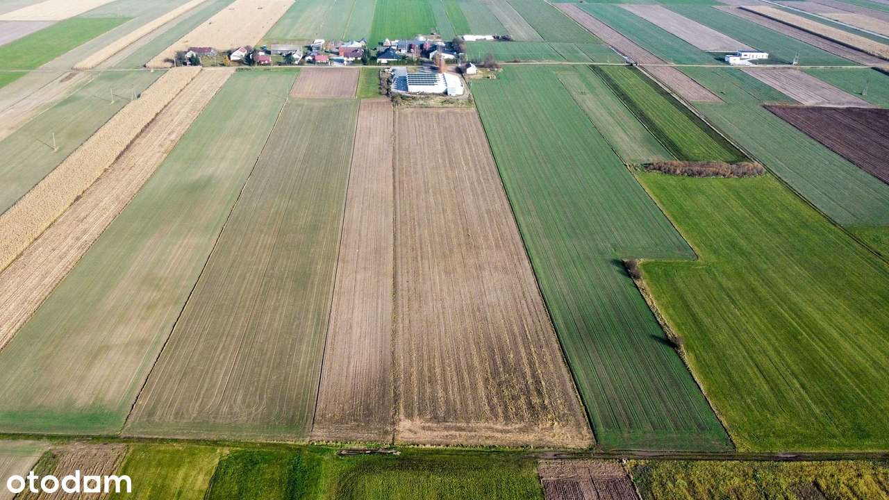 Nowoczesna i wyposażona pieczarkarnia z częścią magazynową – Janowo, - Pełny obrazek: 4/20