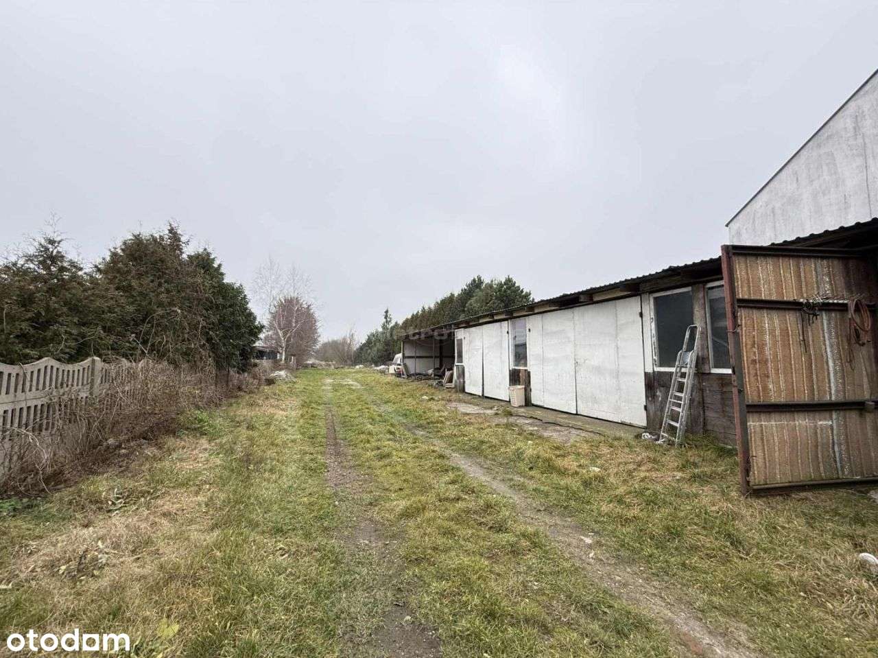 Dom, 58 m², Strzała-8