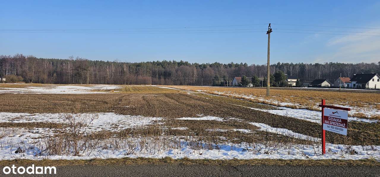 Działka Wojciechów w pobliżu lasu i ośrodka wypoczynkowego!-2
