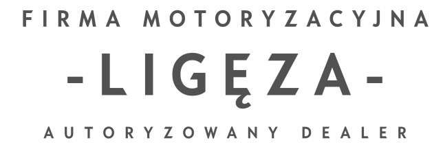 Firma Motoryzacyjna Ligęza Sp. z o. o. logo