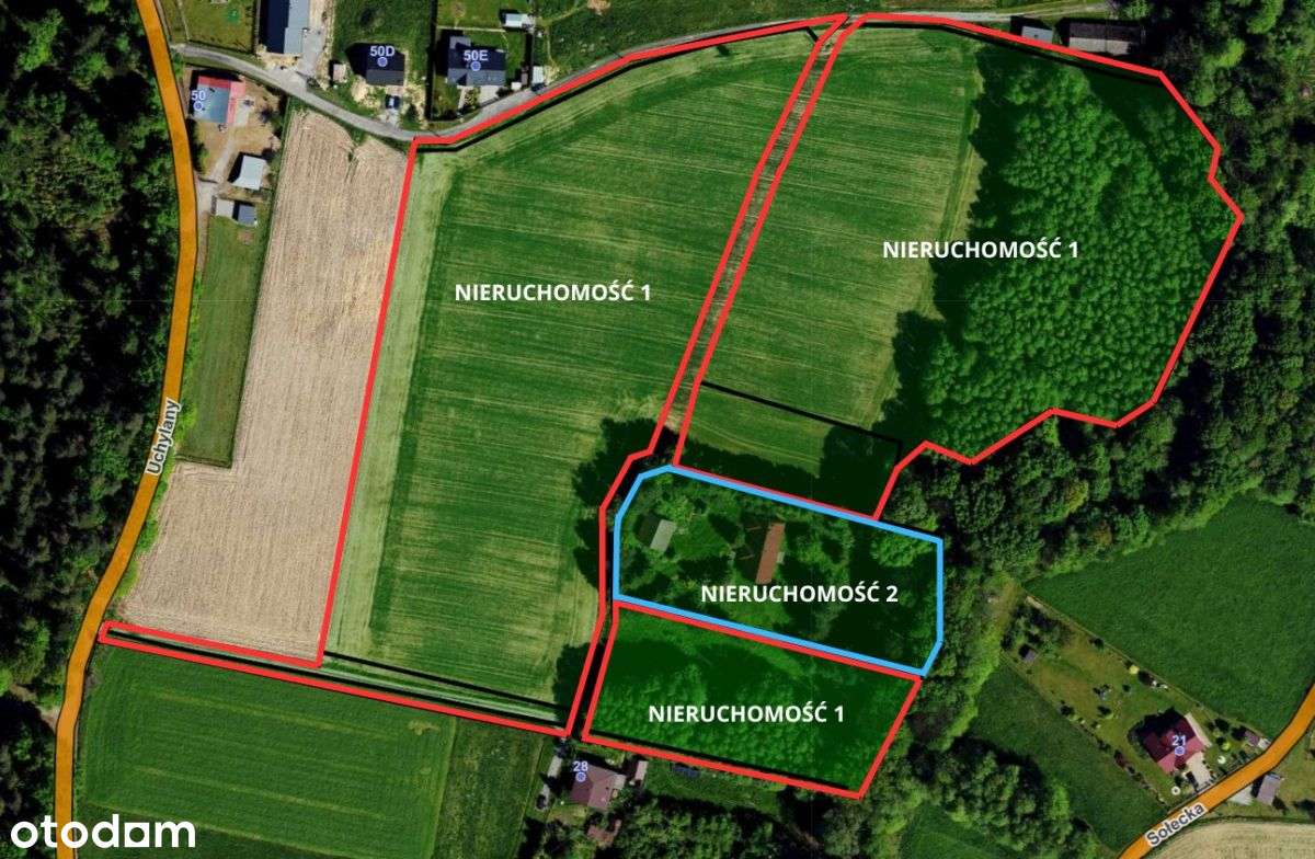 Dom z dużą działką – Pierściec k. Skoczowa - Pełny obrazek: 5/11