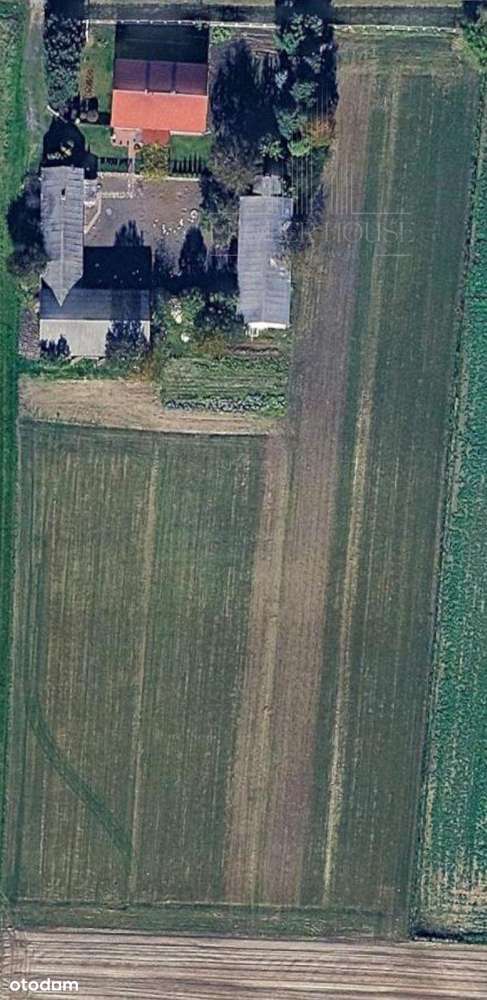 Działka, 3000.0 m², Nowogród-1