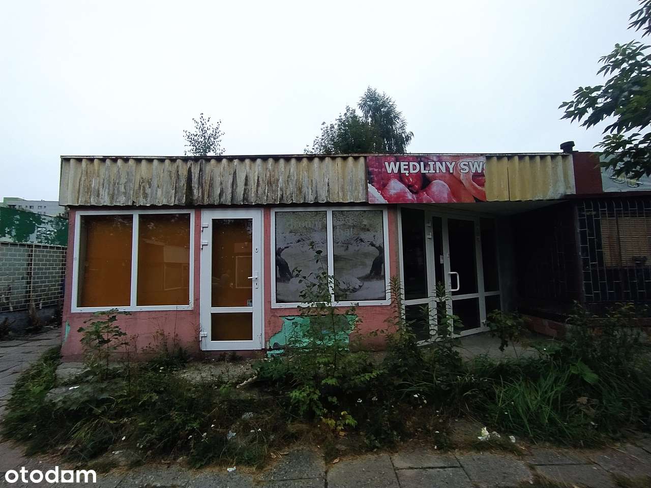 Syndyk sprzeda ½ w prawie własności do nieruchomości gruntowej - Pełny obrazek: 5/7