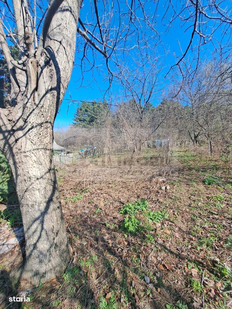 Casa batraneasca Bucium - 27000 - Imagine principală: 5/9