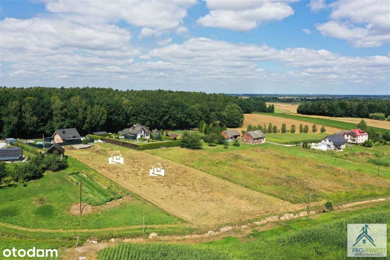 Niedaleko lasu, z górami na horyzoncie - Pełny obrazek: 5/20