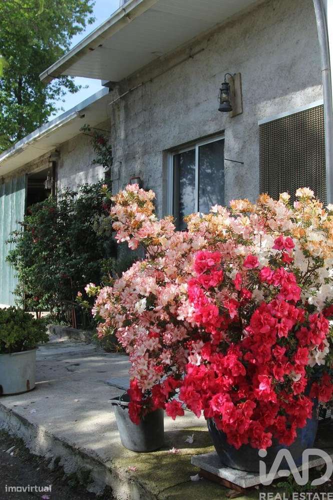 Terreno Agrícola em Oliveira do Hospital e São Paio de Gramaços-27