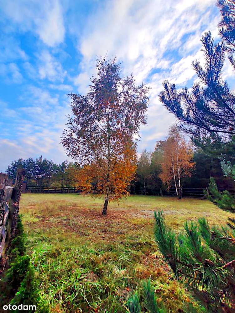 Działka, na której stanie Twój dom!-4