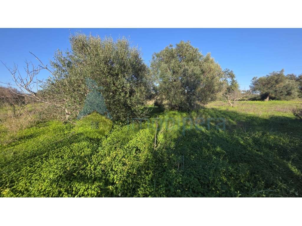 Sítio dos Barreiros - Paderne - Grande imagem: 3/4