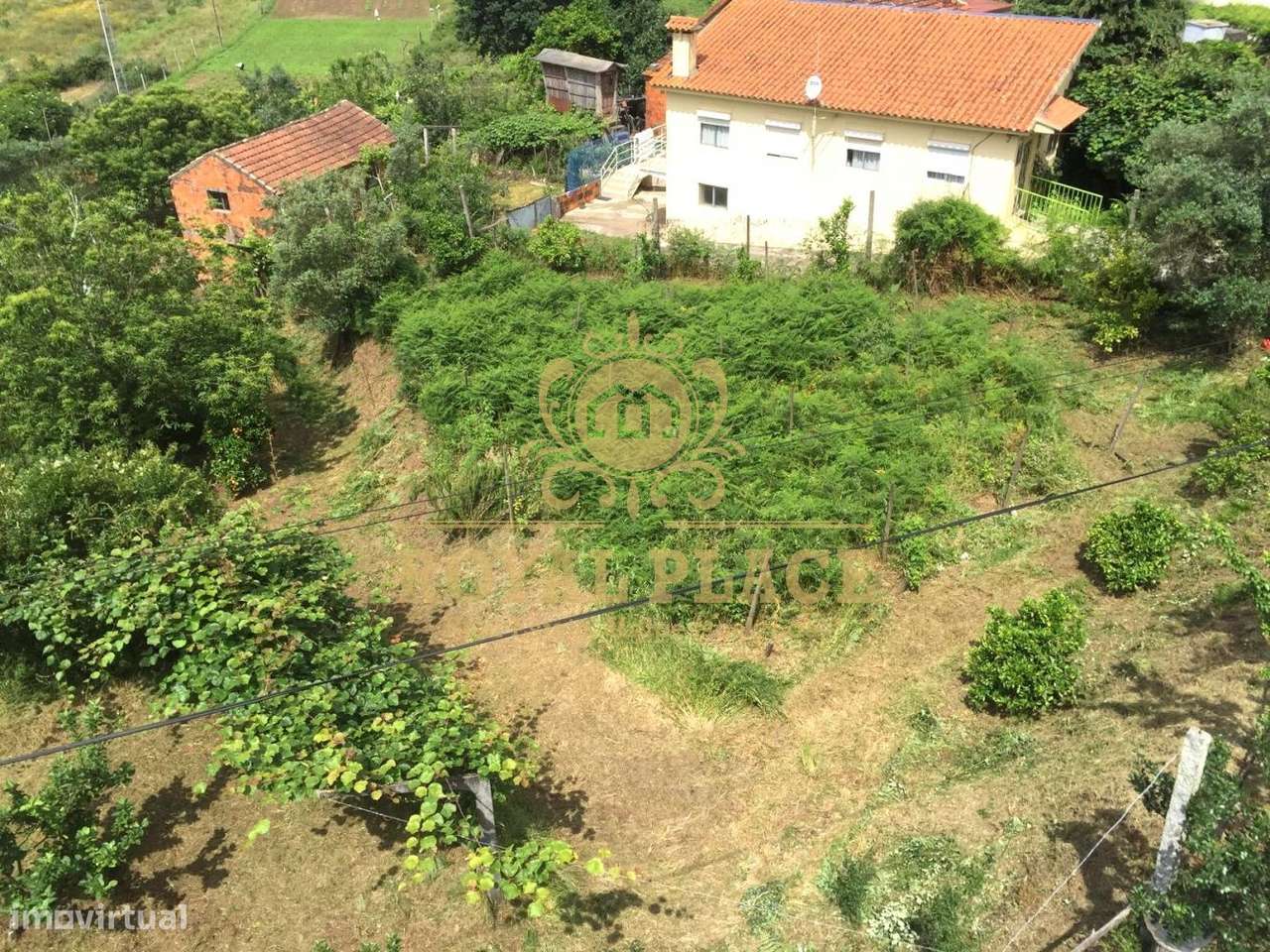 Quinta com armazém em Ossela, Oliveira de Azeméis-21