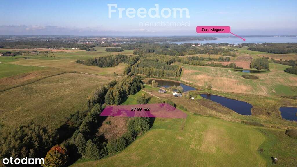 Działka z własnym stawem na Mazurach - 3769 m² - Pełny obrazek: 1/17