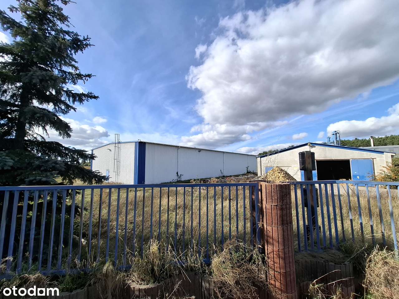 hale produkcyjne i magazyny w Dzierżowie obok Gorzowa Wielkopolskiego-6