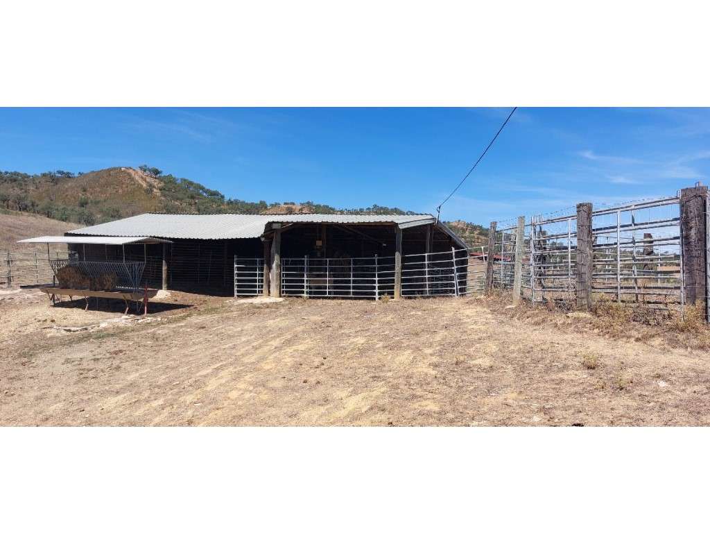 HERDADE 92 ha l Colos-35