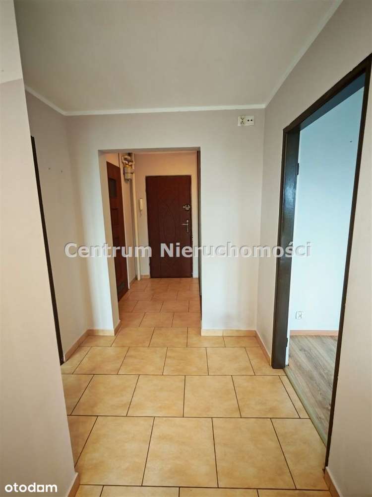 Super Lokalizacja! M3 Tysiąclecie Z Balkonem-8