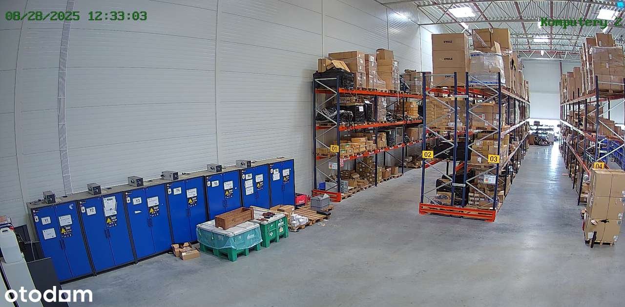 Magazyn na wynajem/  Tarnowo Podgórne / 2610 m2 + 129 m2 biura - Pełny obrazek: 4/12