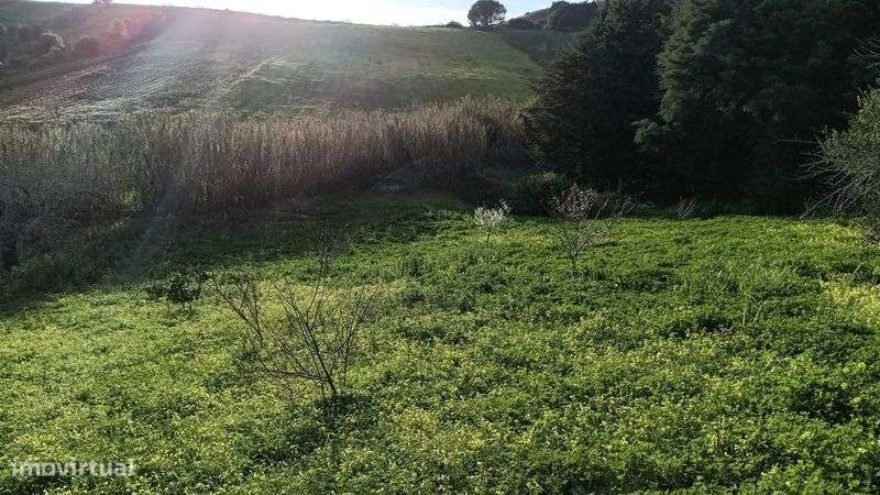 Terreno Não Construível - Casal de Barbas / Valinhos - 25000 Euros - Grande imagem: 4/12