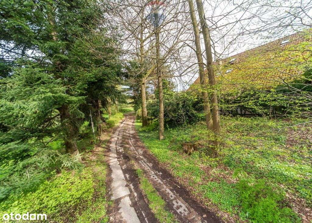 Wyjątkowy dom w malowniczym otoczeniu - Pełny obrazek: 5/20