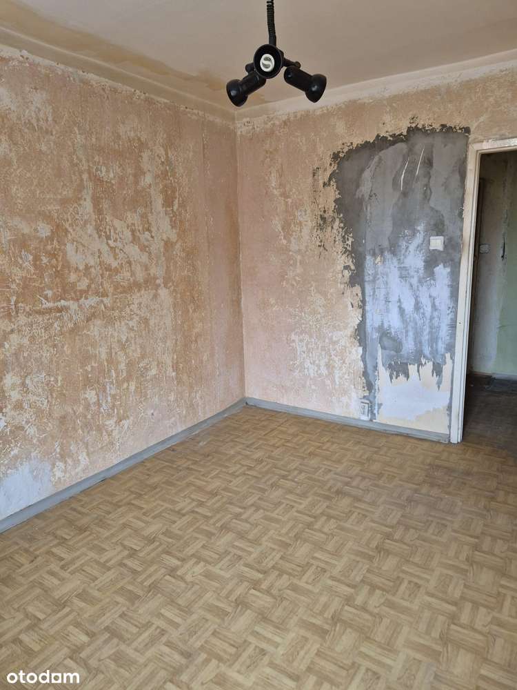 Północ 52 m2 do remontu , Nowe okna ,Okazja ,balkon , winda, Promenada - Pełny obrazek: 2/6