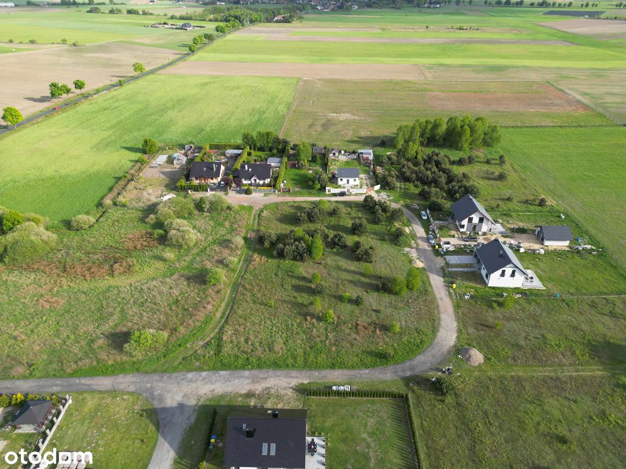 DZIAŁKA 4669 m2 Biała/Trzcianka - Pełny obrazek: 2/6