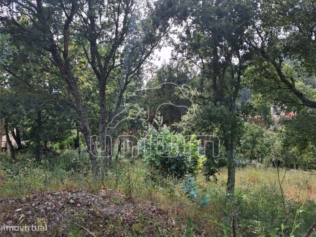 Terreno com projeto aprovado em Carvoeiro - Viana do Castelo - Grande imagem: 4/6