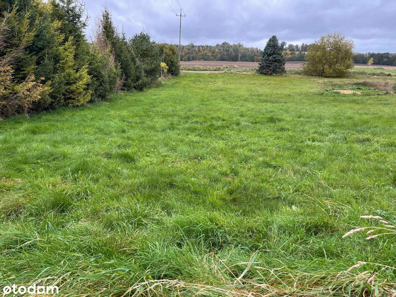 Działka z warunkami zabudowy jednorodzinnej | 1003 m² | Przetoczyno-2